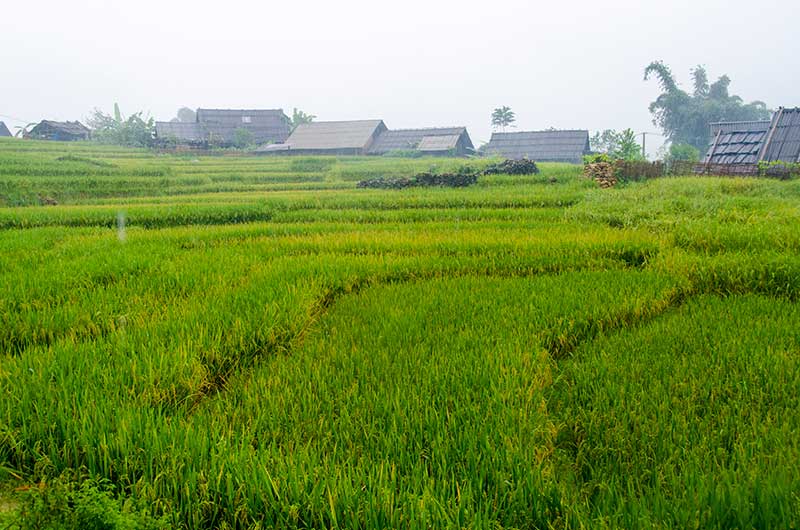 232 - Vietnam - Sapa - paisaje bajo la lluvia